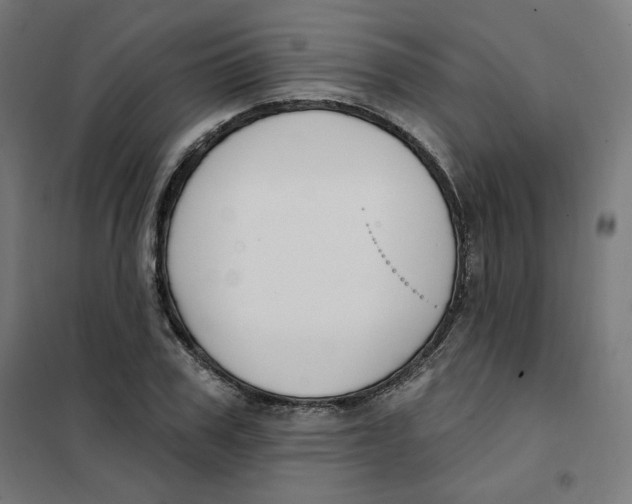 X0000101180979200807250935