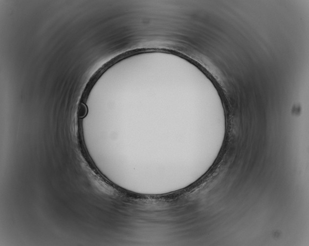 X0000101180980200807250935