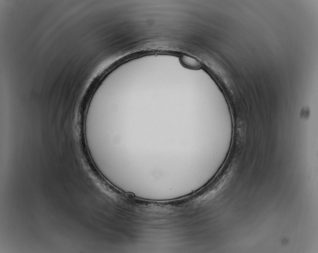 X0000101180981200807250935