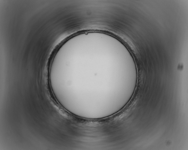 X0000101180982200807250935