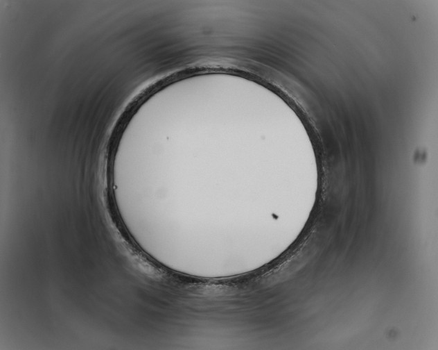 X0000101180984200807250935