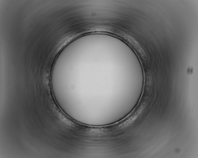 X0000101180985200807250935