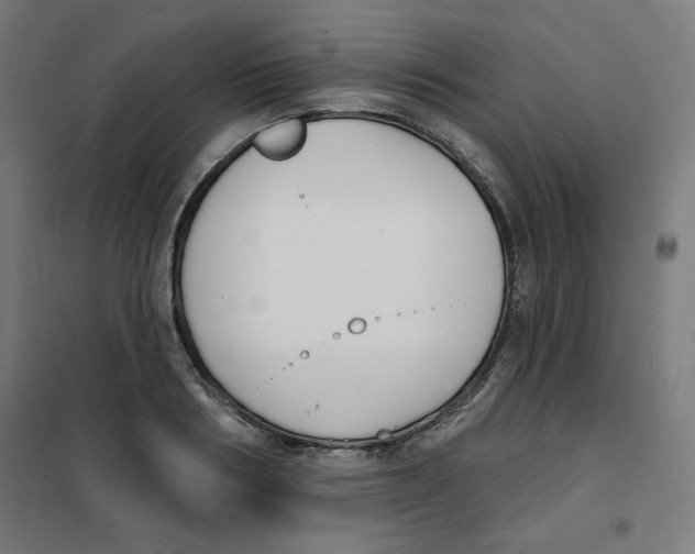 X0000101180986200807250935