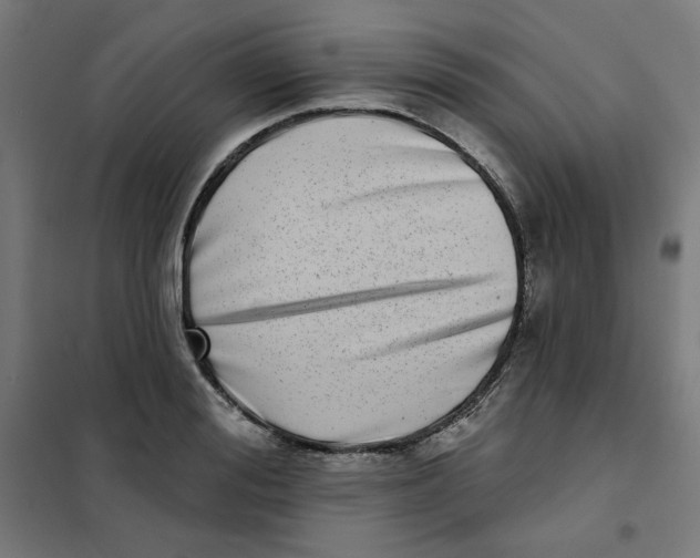 X0000101180988200807250935