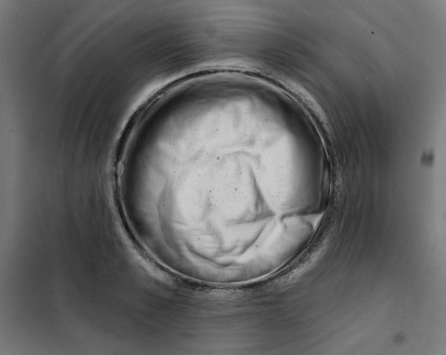 X0000101180989200807250935