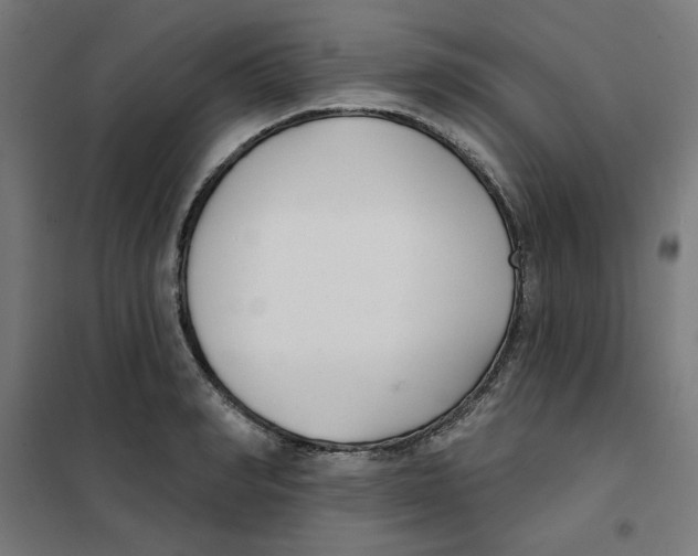 X0000101180990200807250935