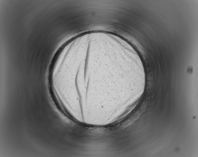 X0000101180991200807250935