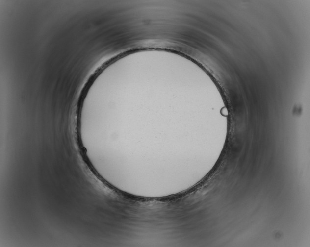 X0000101180992200807250935