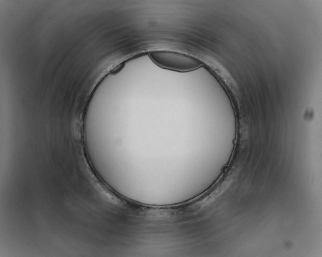 X0000101180993200807250935