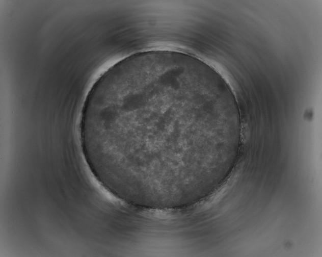 X0000101180995200807250935