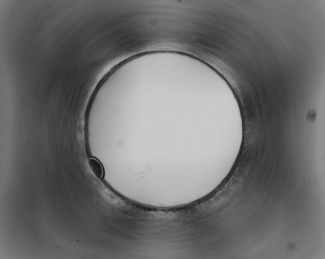 X0000101180996200807250935