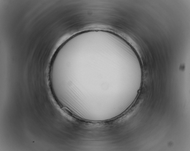 X0000101180997200807250935