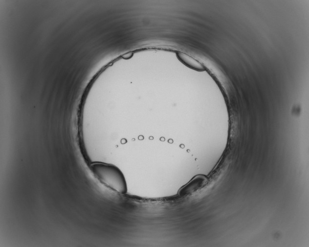 X0000101180999200807250935