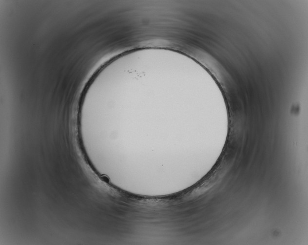 X0000101181000200807250935