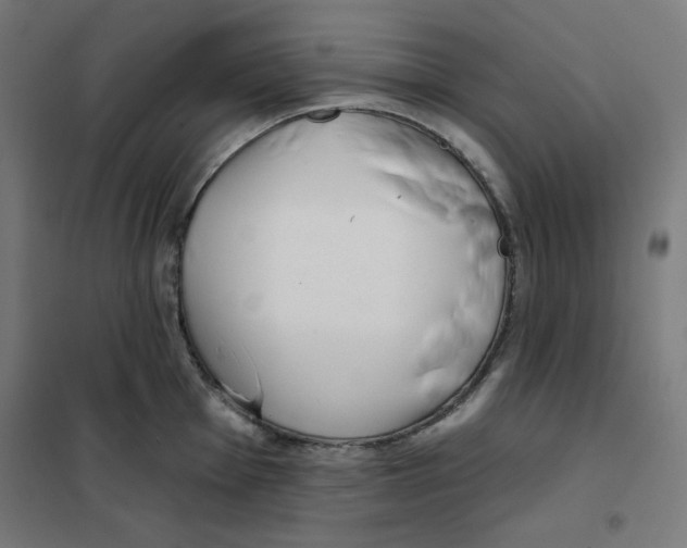 X0000101181001200807250935