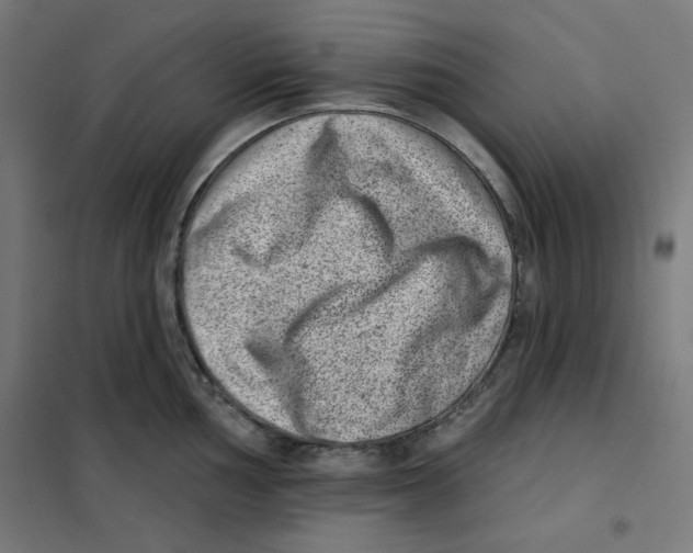 X0000101181002200807250935