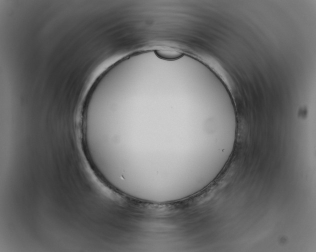 X0000101181003200807250935