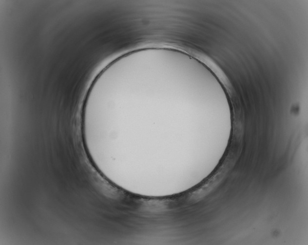 X0000101181004200807250935