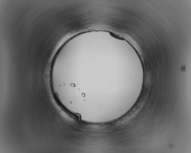 X0000101181005200807250935