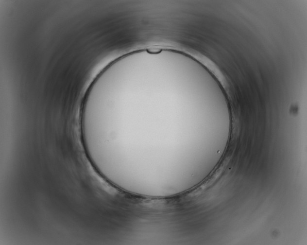 X0000101181006200807250935