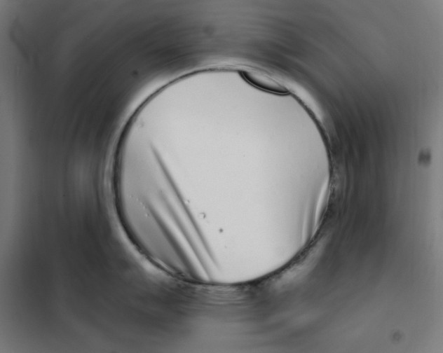 X0000101181007200807250935