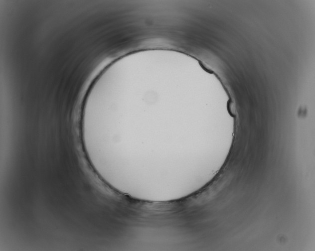 X0000101181008200807250935