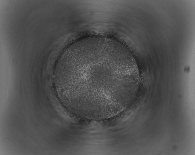 X0000101181009200807250934