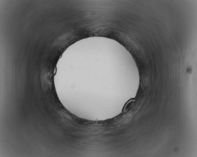 X0000101181010200807250934