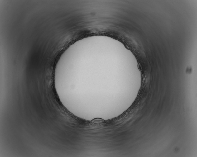 X0000101181012200807250934