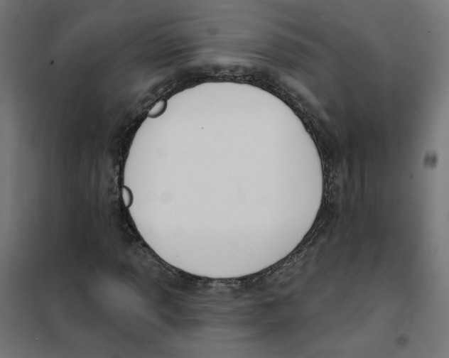 X0000101181013200807250934