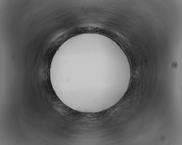 X0000101181014200807250934