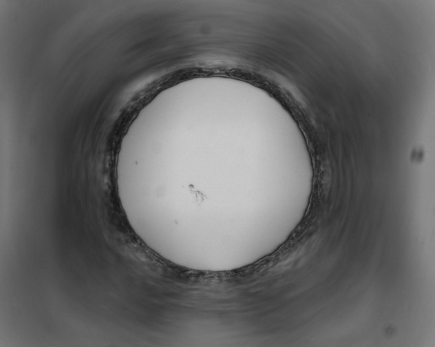 X0000101181016200807250934