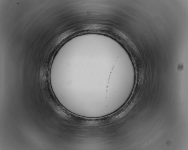 X0000101181017200807250934