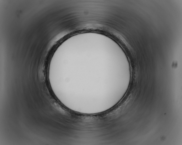 X0000101181018200807250934