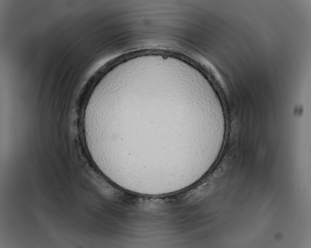 X0000101181019200807250934