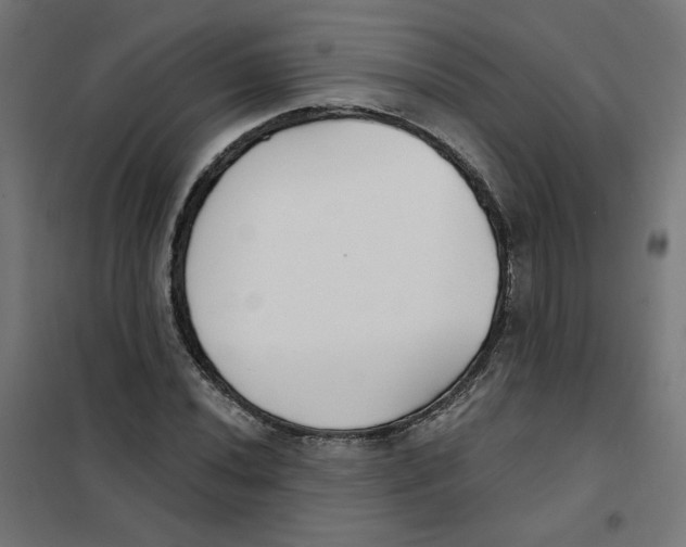 X0000101181020200807250934