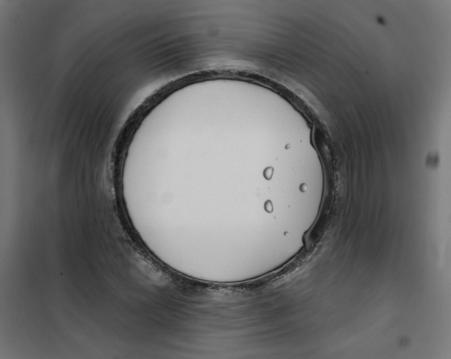 X0000101181022200807250934