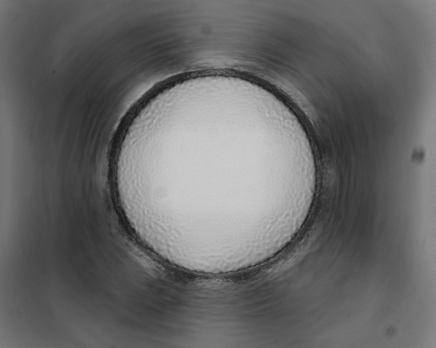 X0000101181023200807250934