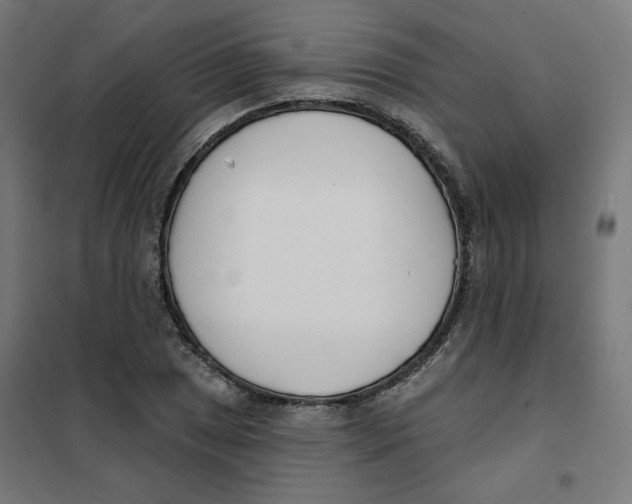 X0000101181025200807250934