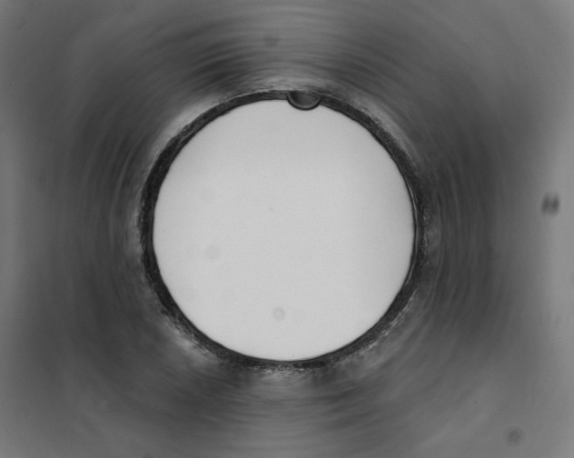 X0000101181026200807250934