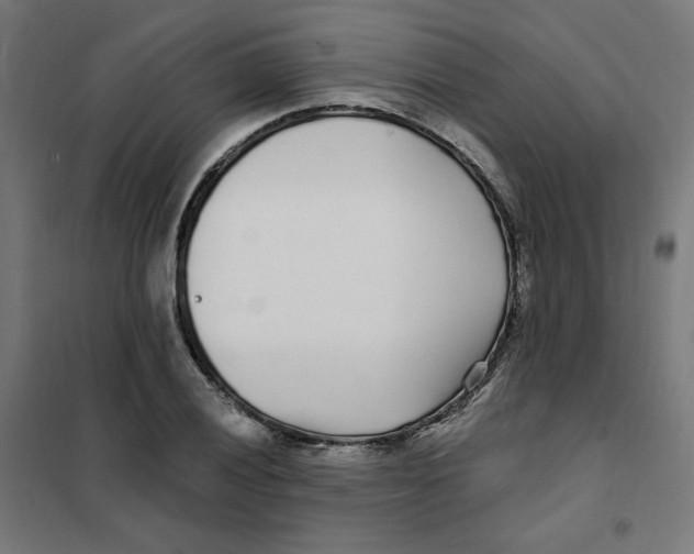 X0000101181028200807250934