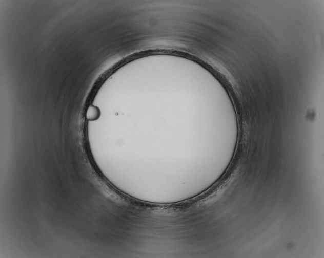 X0000101181029200807250934