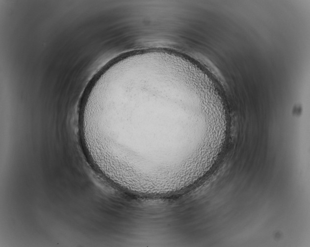 X0000101181031200807250935