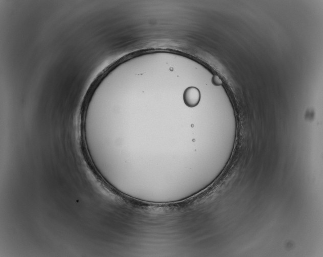 X0000101181032200807250935