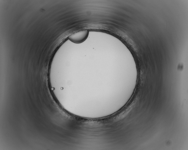 X0000101181033200807250935