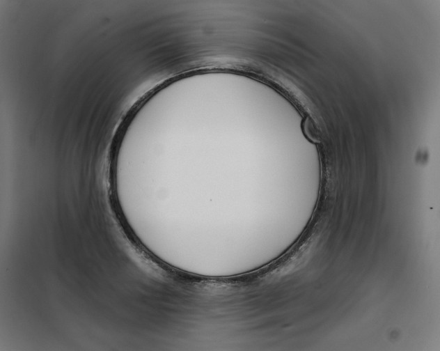 X0000101181034200807250935