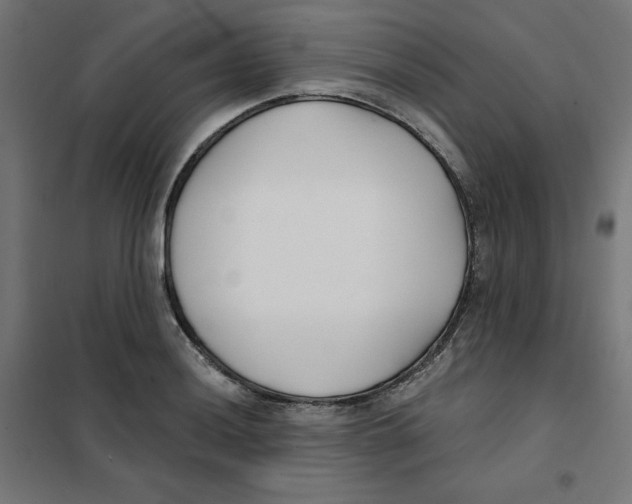 X0000101181036200807250935