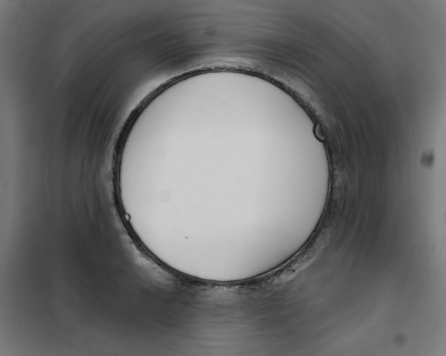 X0000101181038200807250935