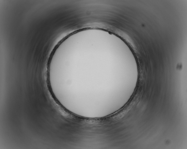 X0000101181040200807250935