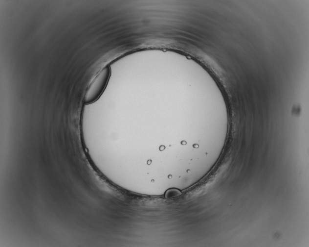 X0000101181041200807250935